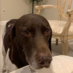 Meet your Posher, Kevin